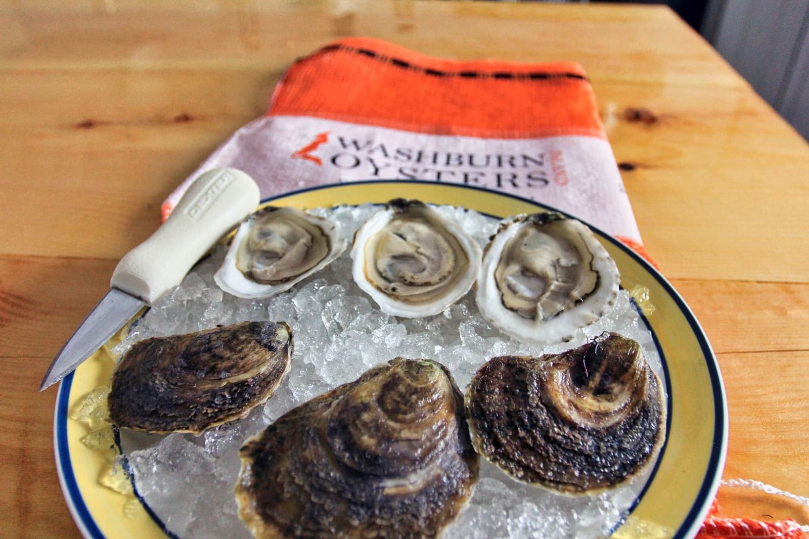 Washburn Island Oysters Cape Cod Oyster Company